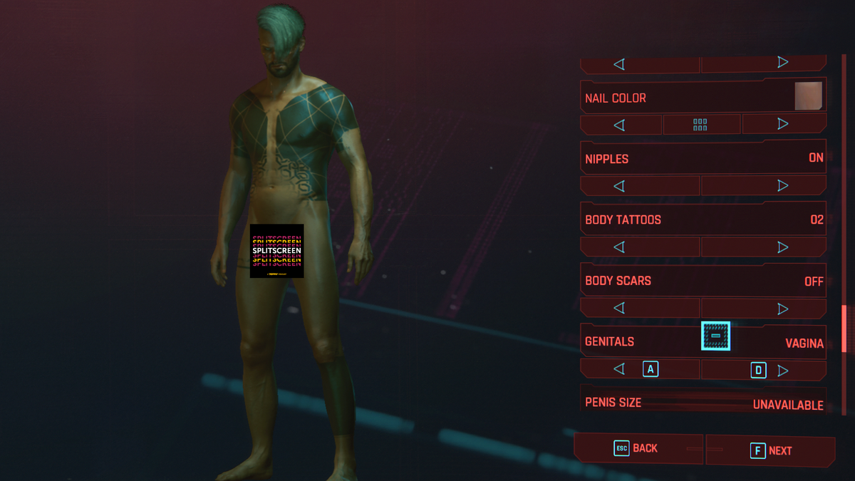 cyberpunk 2077 genitals