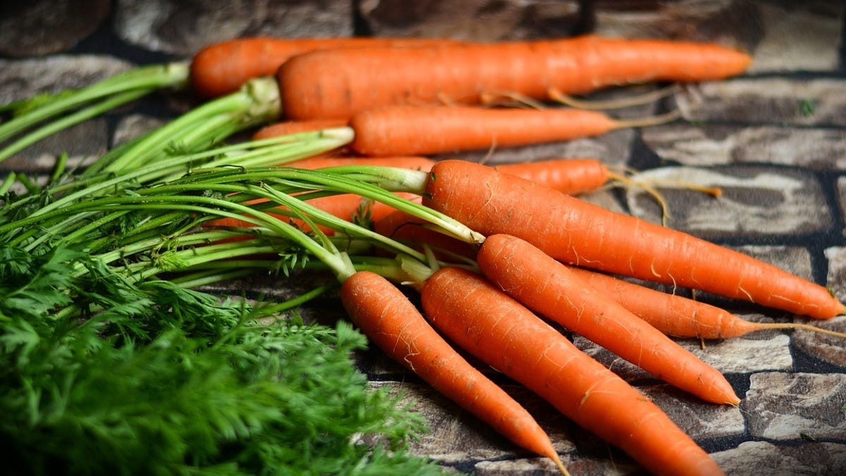 wisconsin woman cured cancer with diet