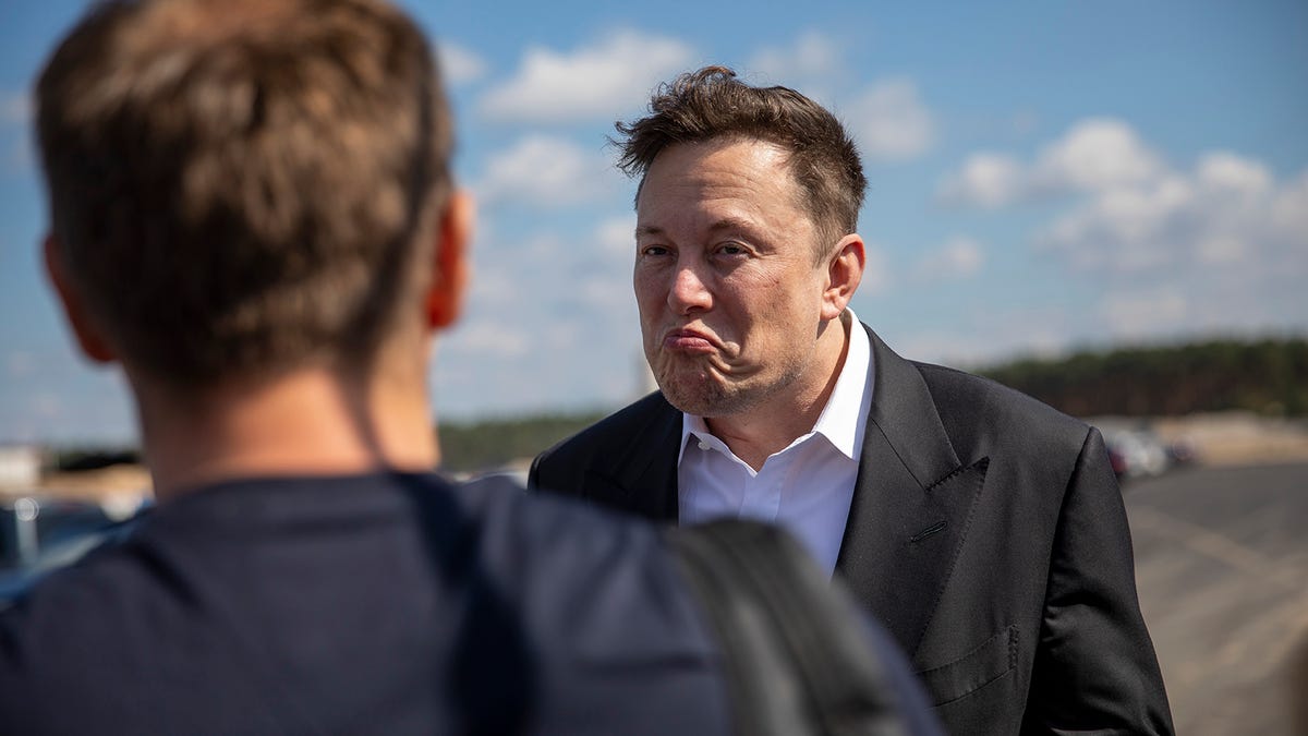 Why Elon Musk Is Getting Owned Over Bolivia S Election