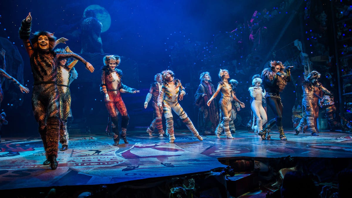 Cats Musical Cast Interviews On Pride And Embarrassment