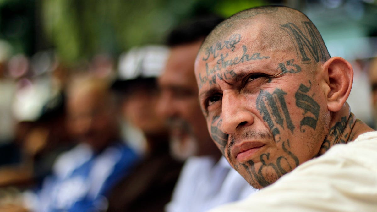 Ms 13 Gang Leader Getting Some Pretty Great Ideas From Watching Ice Work