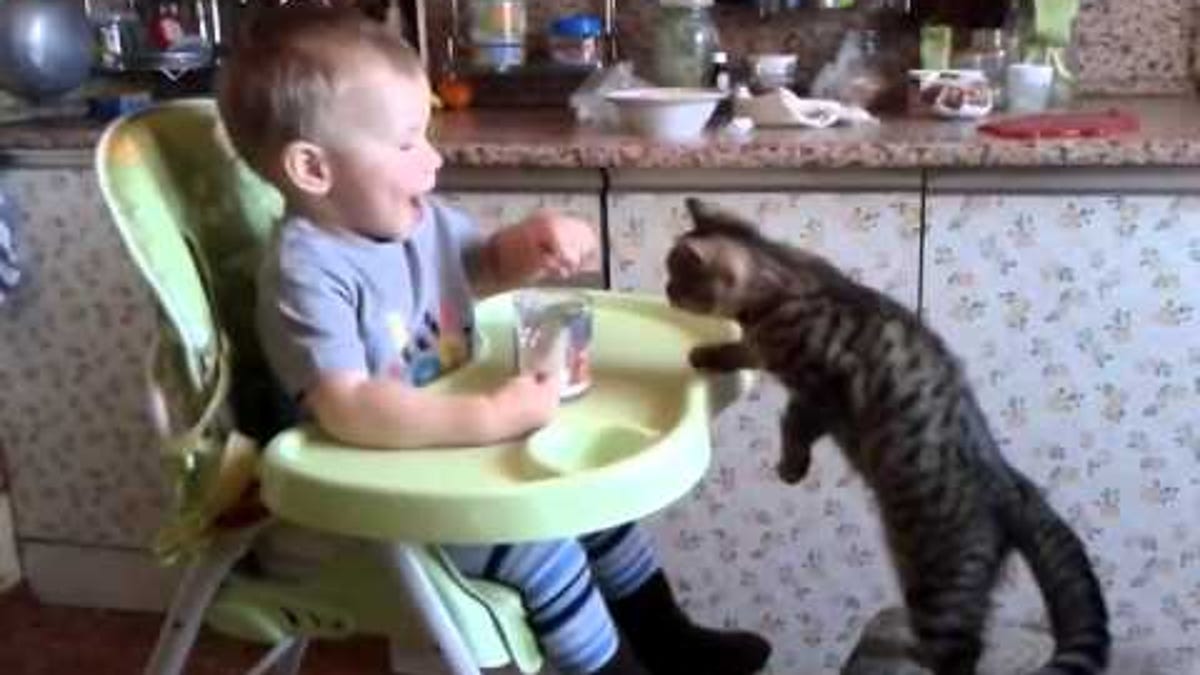 Watch A Baby Feed A Kitten His Milk