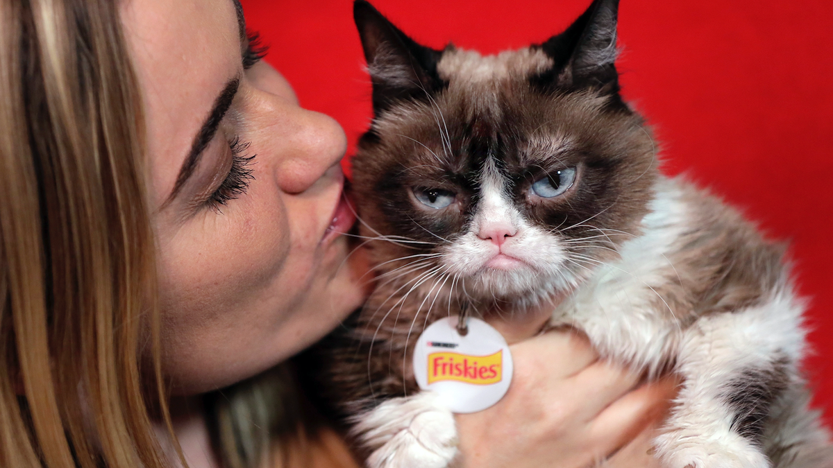 Grumpy Cat Wins 700 000 For Copyright Infringement As Memes