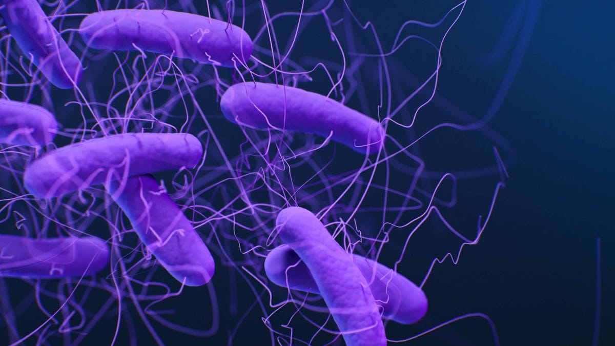 New CDC Report on Superbugs Is Full of Bad News