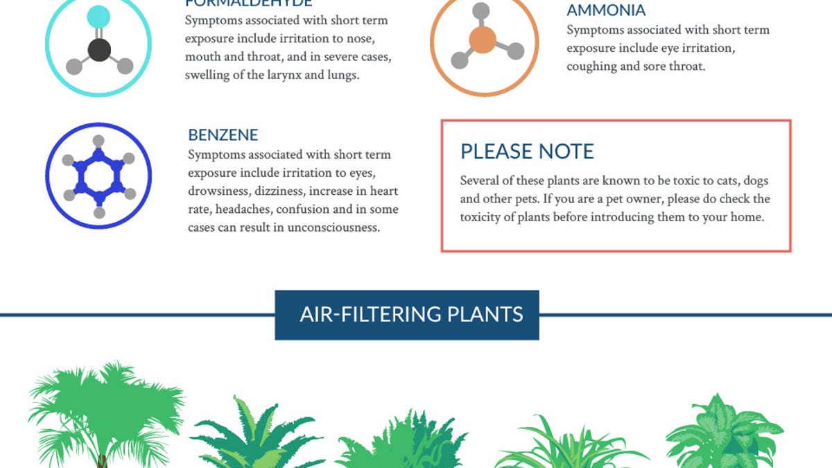 Chart Of Air Filtering Plants