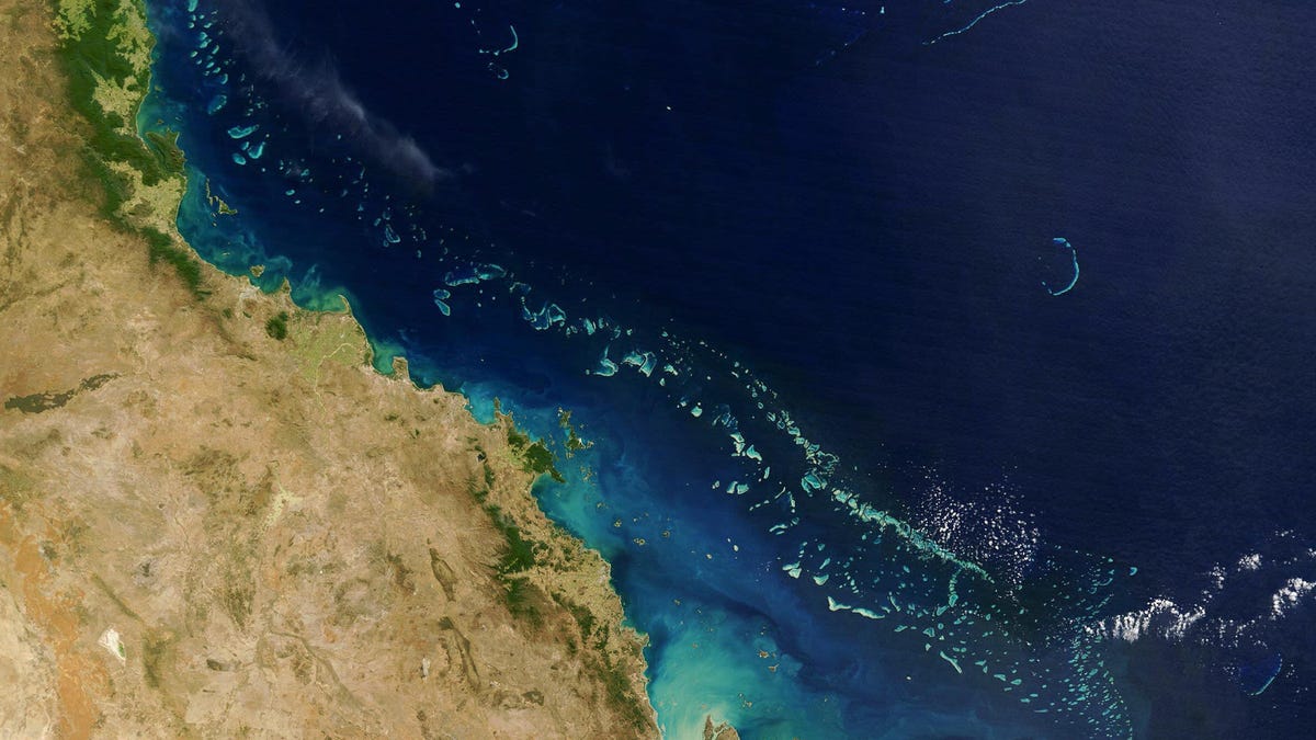 The Great Barrier Reef Faces Third Mass Bleaching Event in Five Years