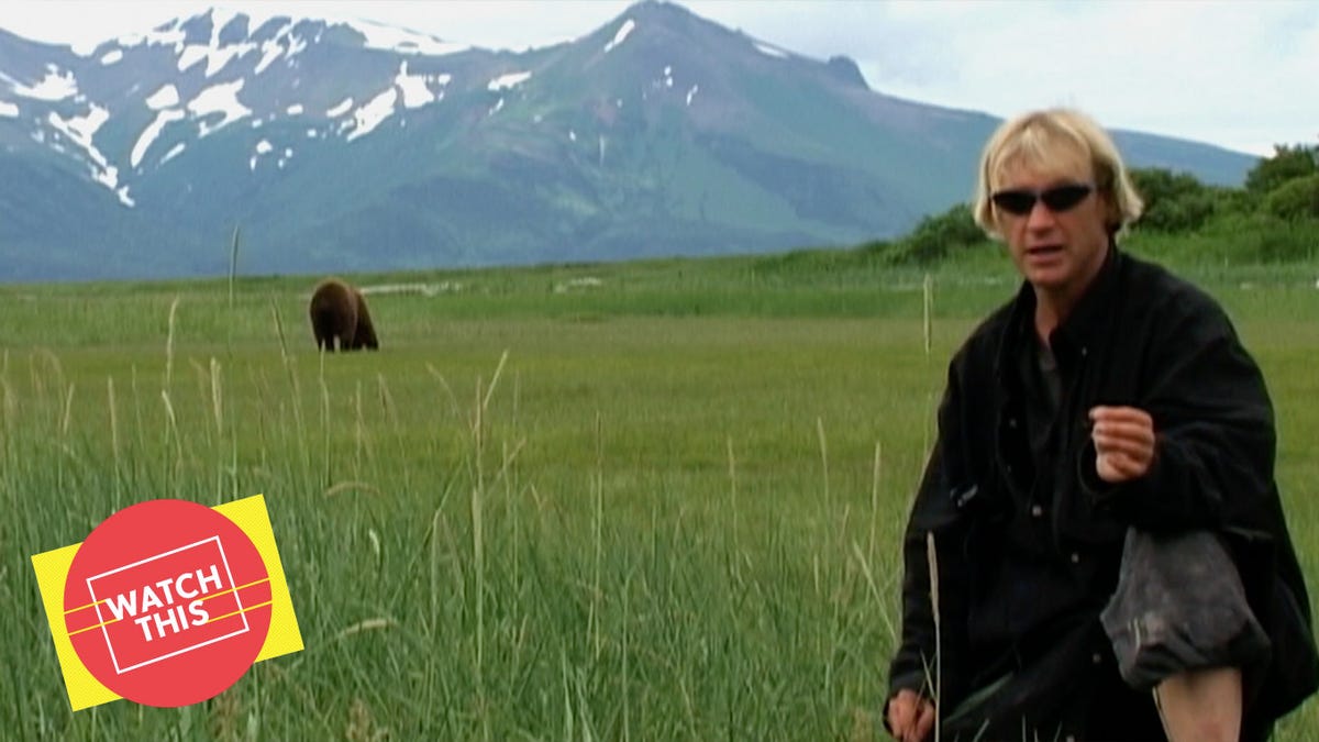 Werner Herzog’s Grizzly Man is a nature doc about the strangeness of humans