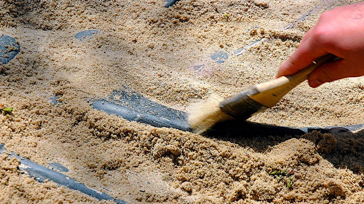 fossil digging sites near me