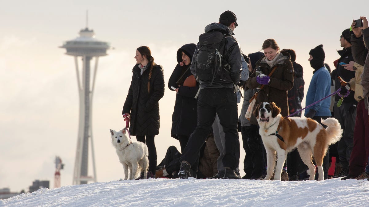 The Science Behind Seattle S Historic Snow