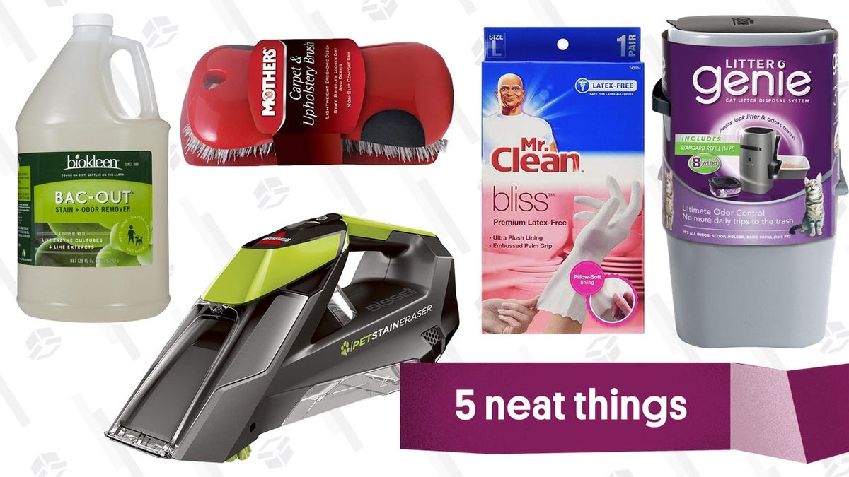 Five Cleaning Products That Cat Owners Should Always Keep Stocked