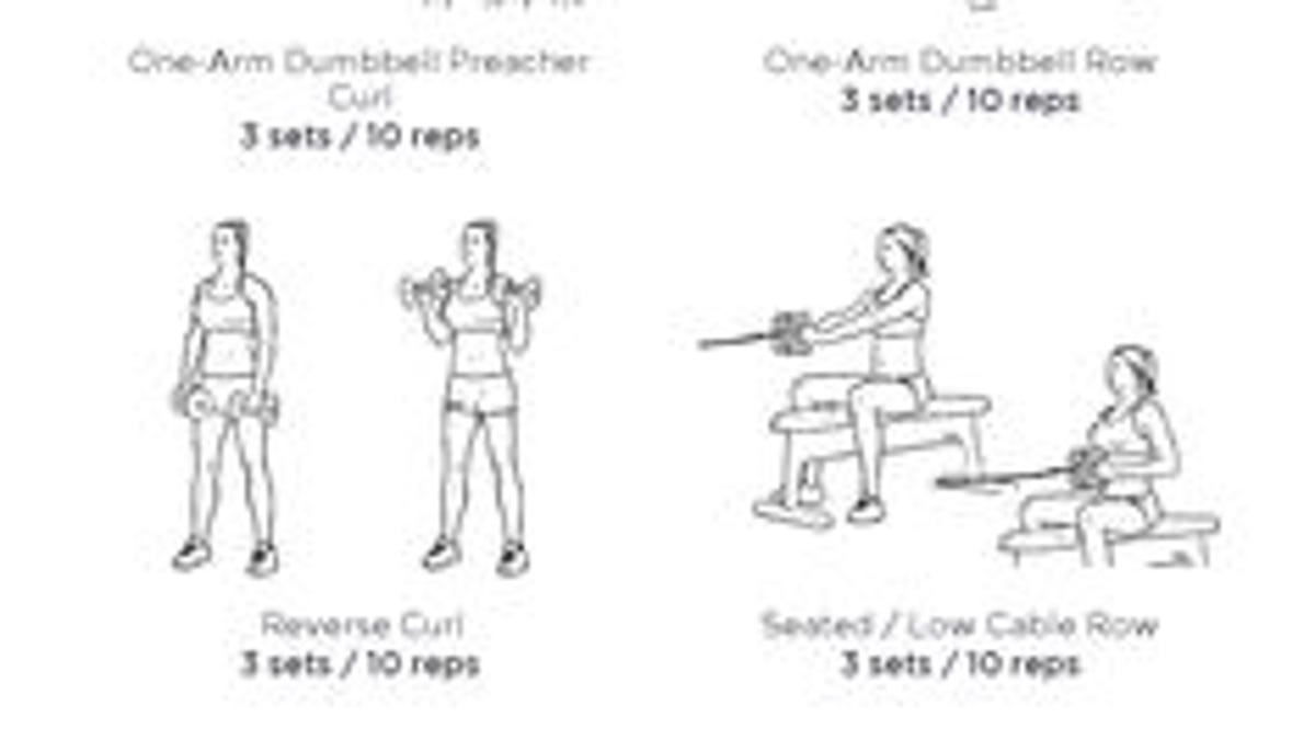 Everlast training camp ultimate 6 week workout pdf download