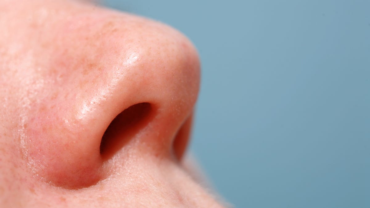 For People Who Can't Smell, Life Can Be Full of Peril