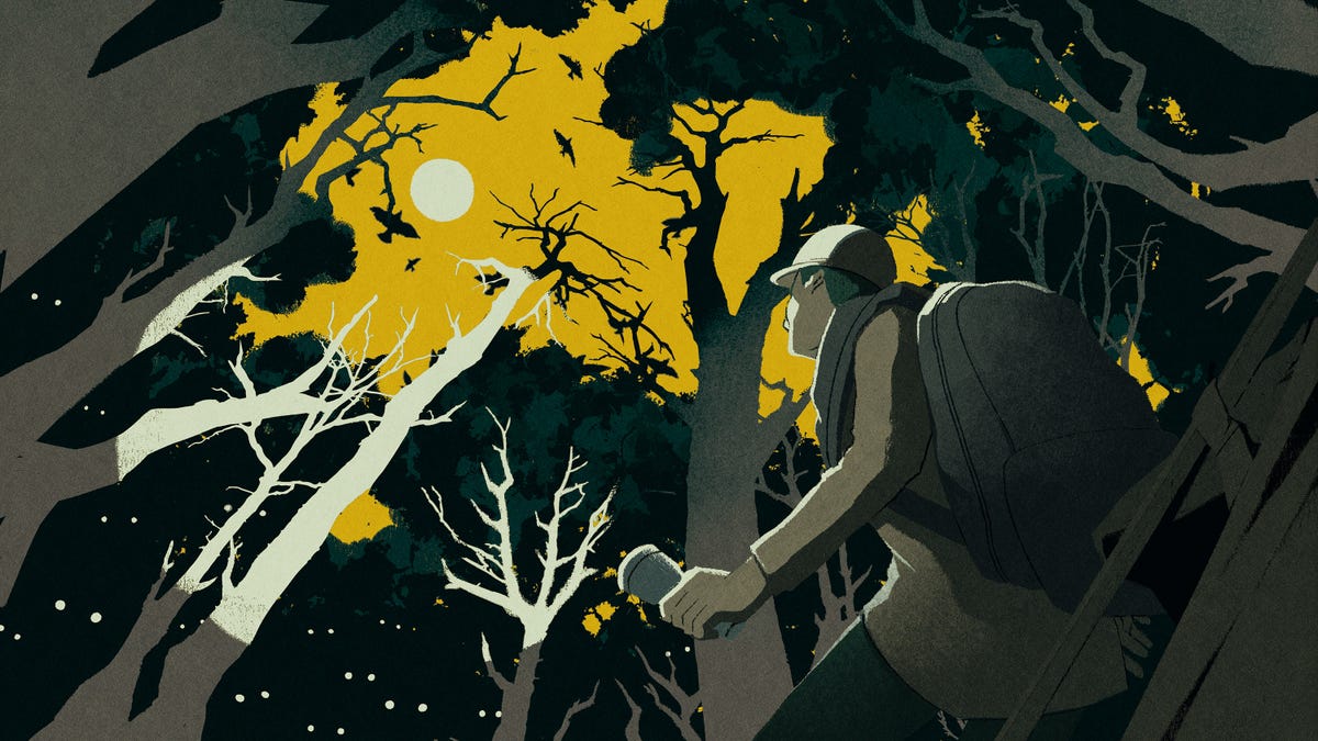 'We Have to Go NOW': Scientists Share Their Wildest Experiences in the Field
