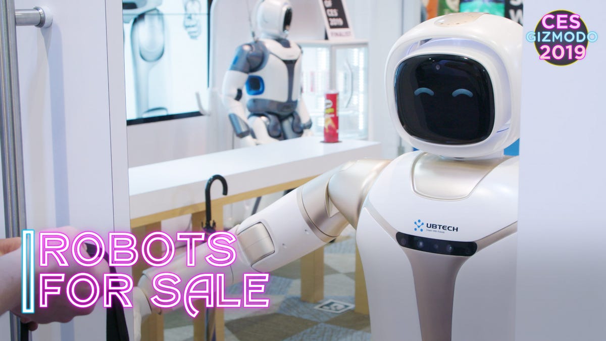 sygdom Ashley Furman vinder You Can Finally Buy a Robot That Will Be Your Friend