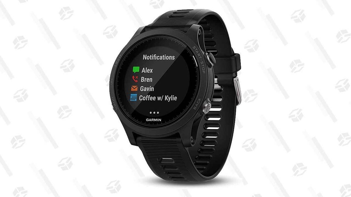 forerunner 250