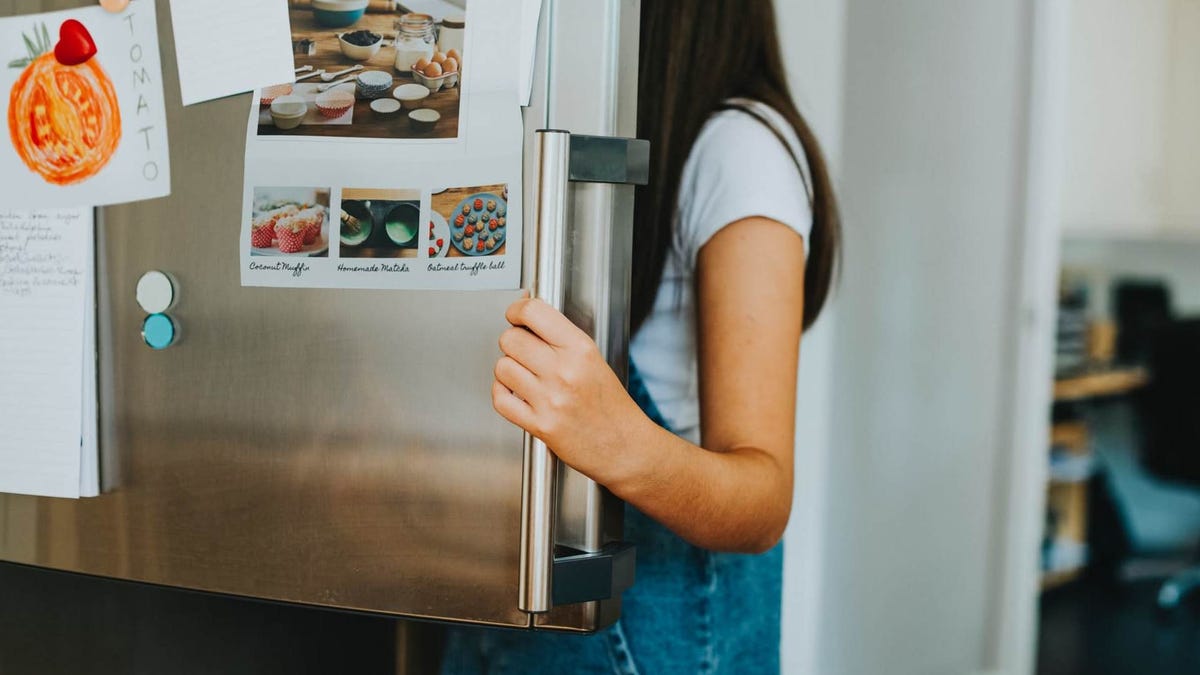 Arbitraje Respeto a ti mismo informal A qué temperatura debes mantener siempre tu refrigerador