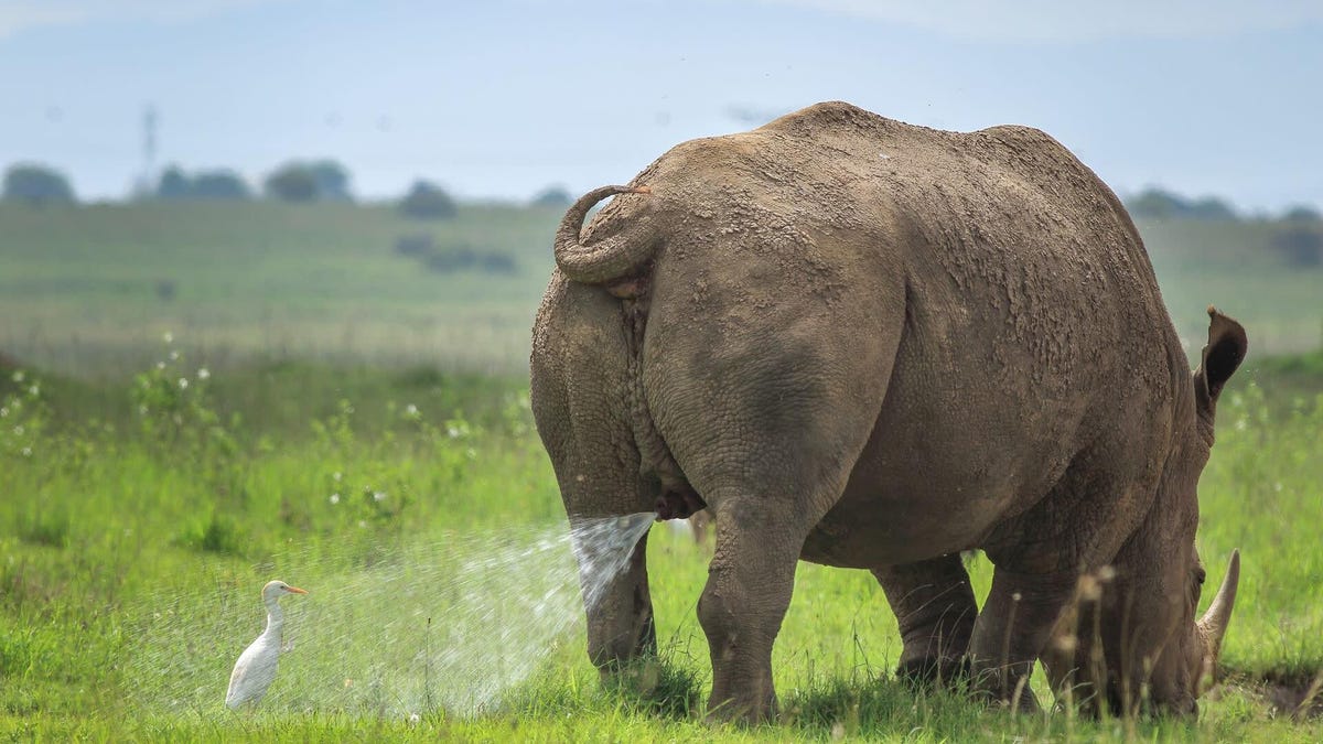 photo of Slide Into the Weekend With the Most Hilarious Wildlife Photos of 2019 image