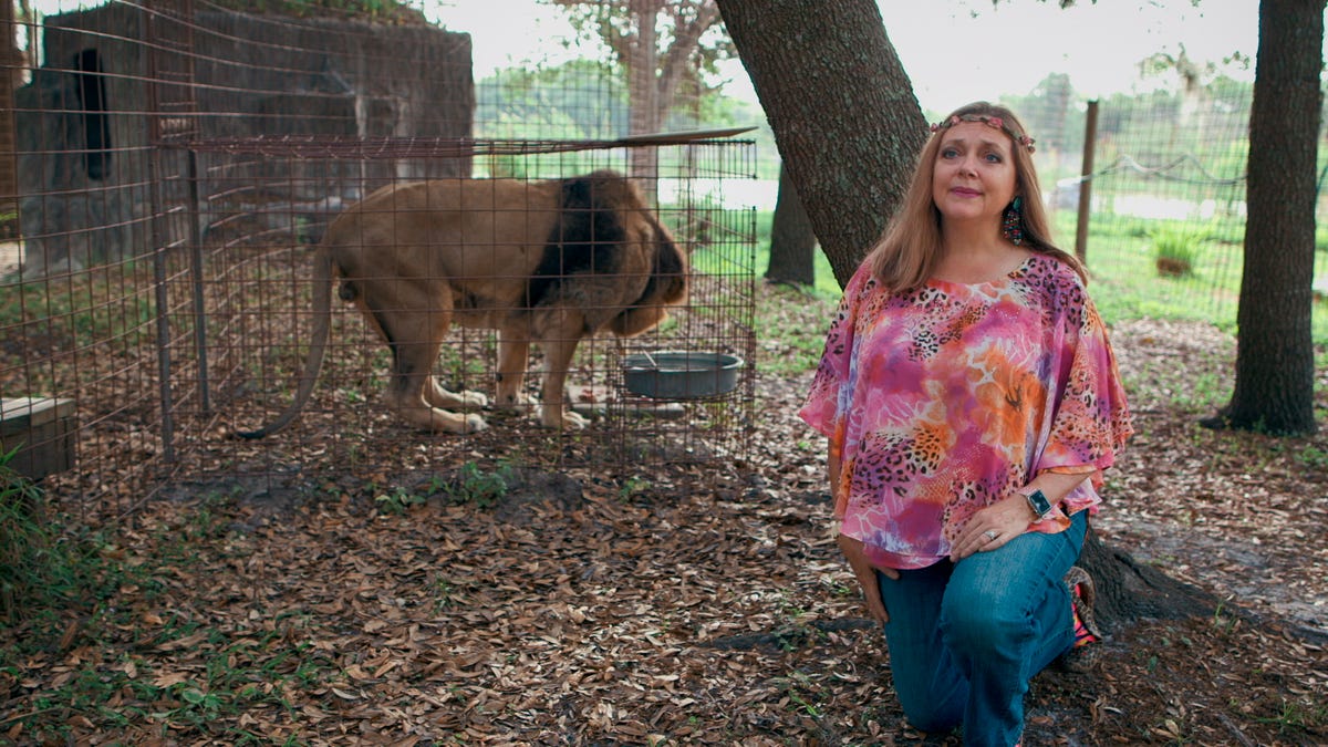 Judge Awards Control Of Joe Exotic S Zoo To Rival Carole Baskin