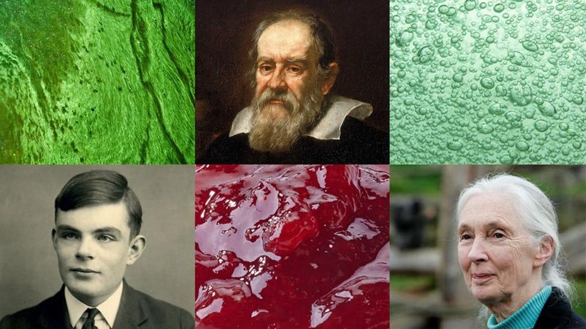 Who Invented Slime and How?