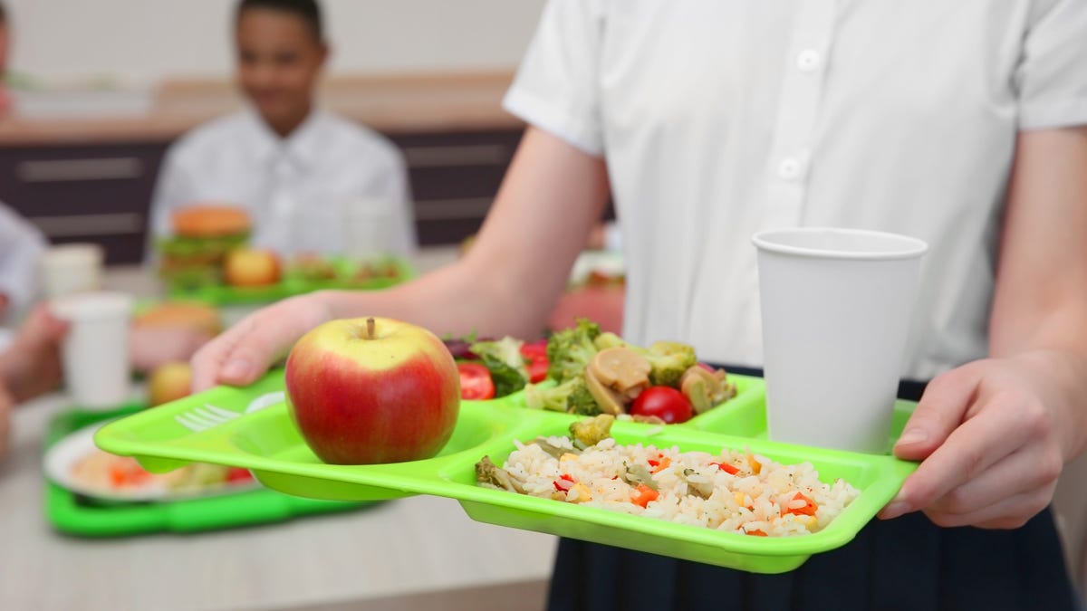 It's Time to Check Your School's Lunch Debt Policy