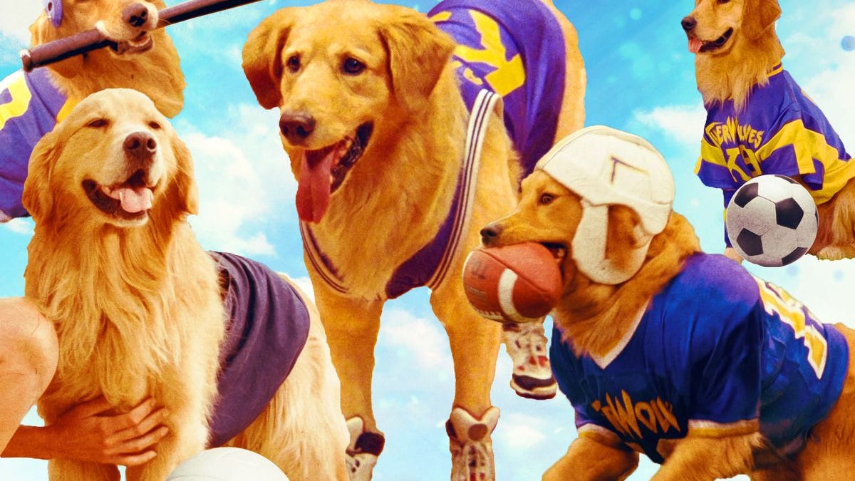 Air Bud The Story You Never Knew
