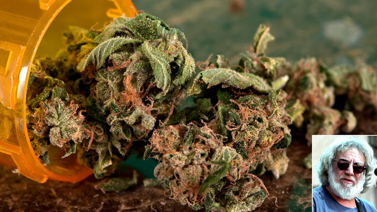 Study Finds Medical Marijuana Effective For Treating Long-Term Pain Over Jerry Garcia’s Death