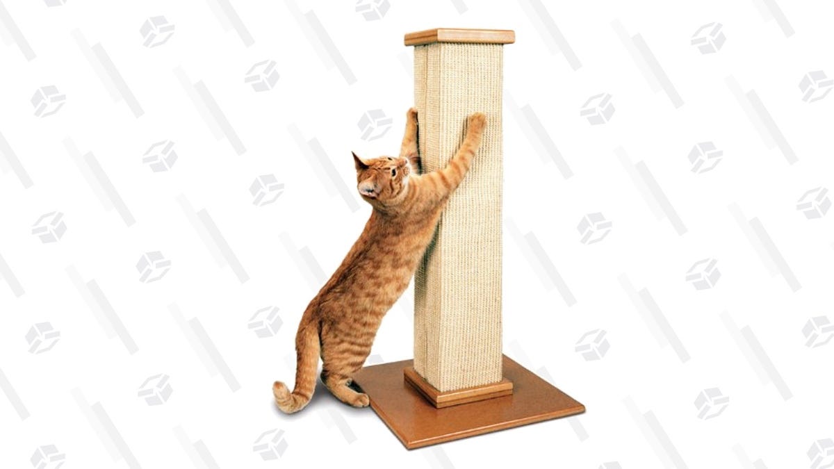 Buy Your Cat S Love With A Deal On The Best Scratching Post