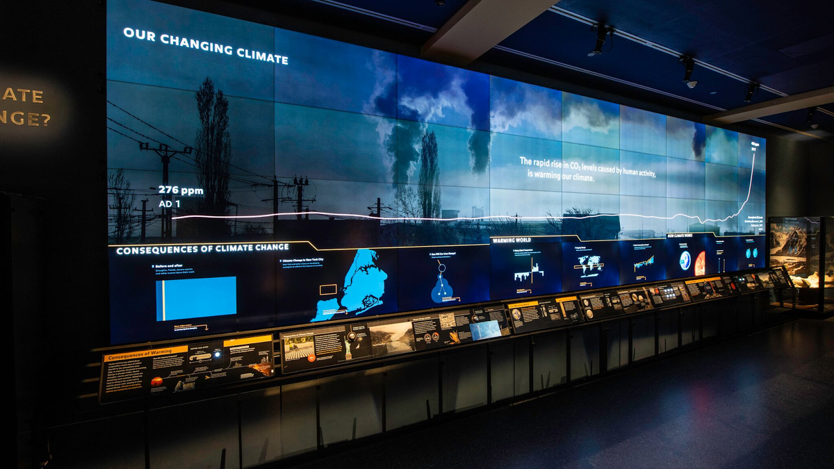 amnh discount code
