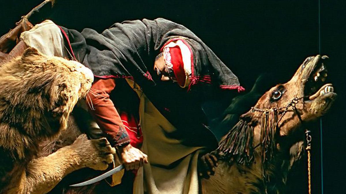 Museum Finds Real Human Skull In 150 Year Old Taxidermy Display