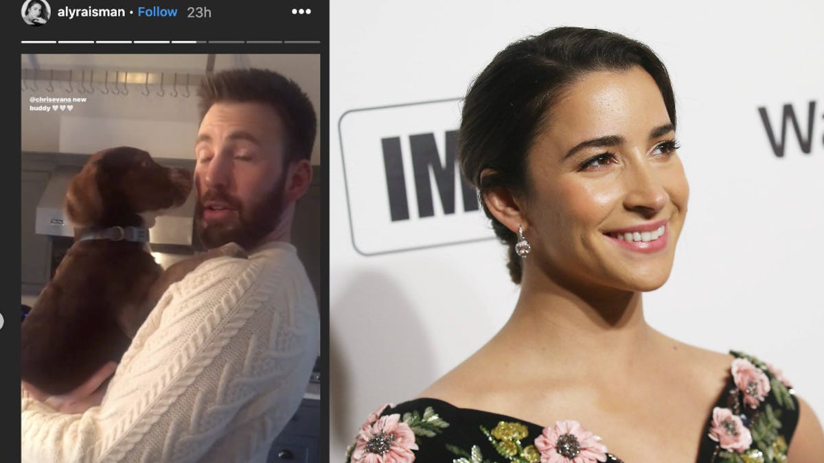 Chris Evans and Aly Raisman Have Playdate With Their Dogs