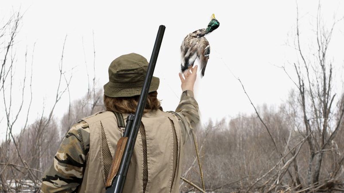 ethical hunter throws duck he shot back