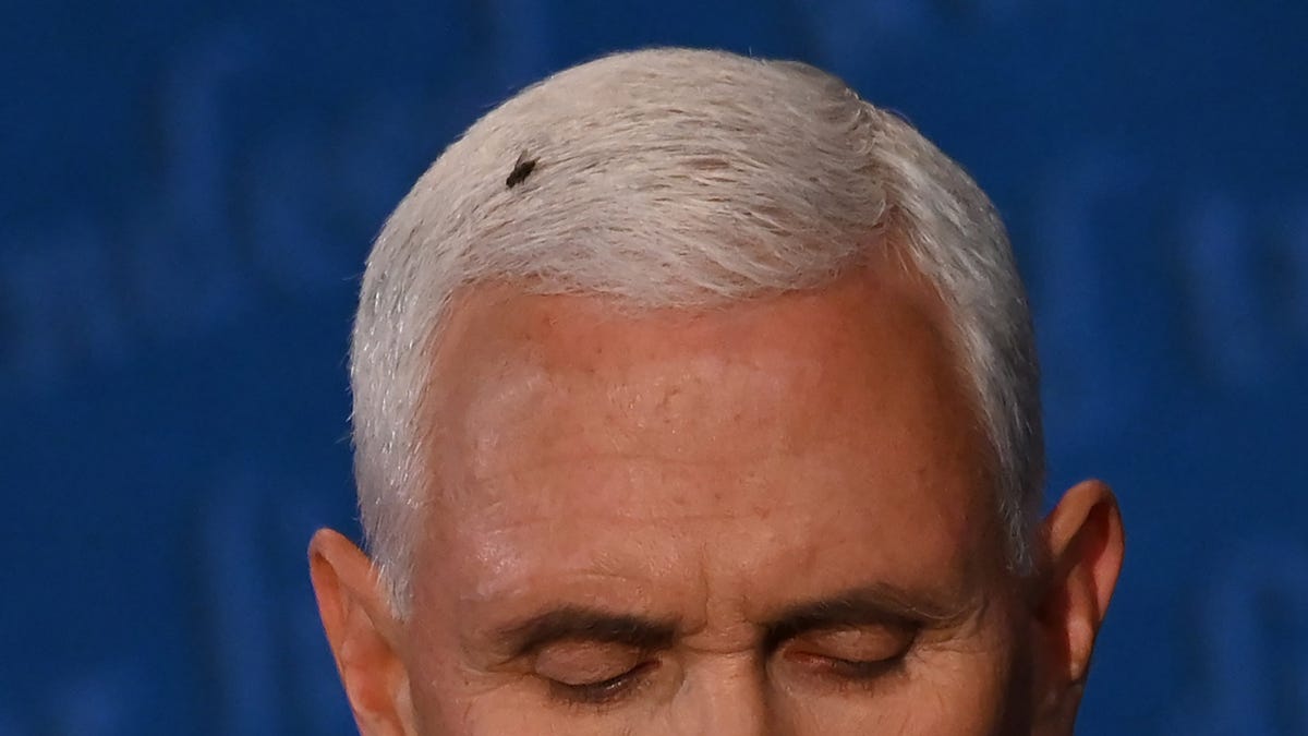 An Interview With Mike Pence S Fly