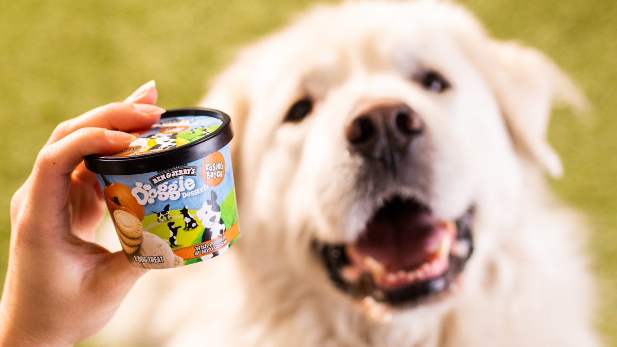 Ben & Jerry’s debut Doggie Desserts ice cream for pets