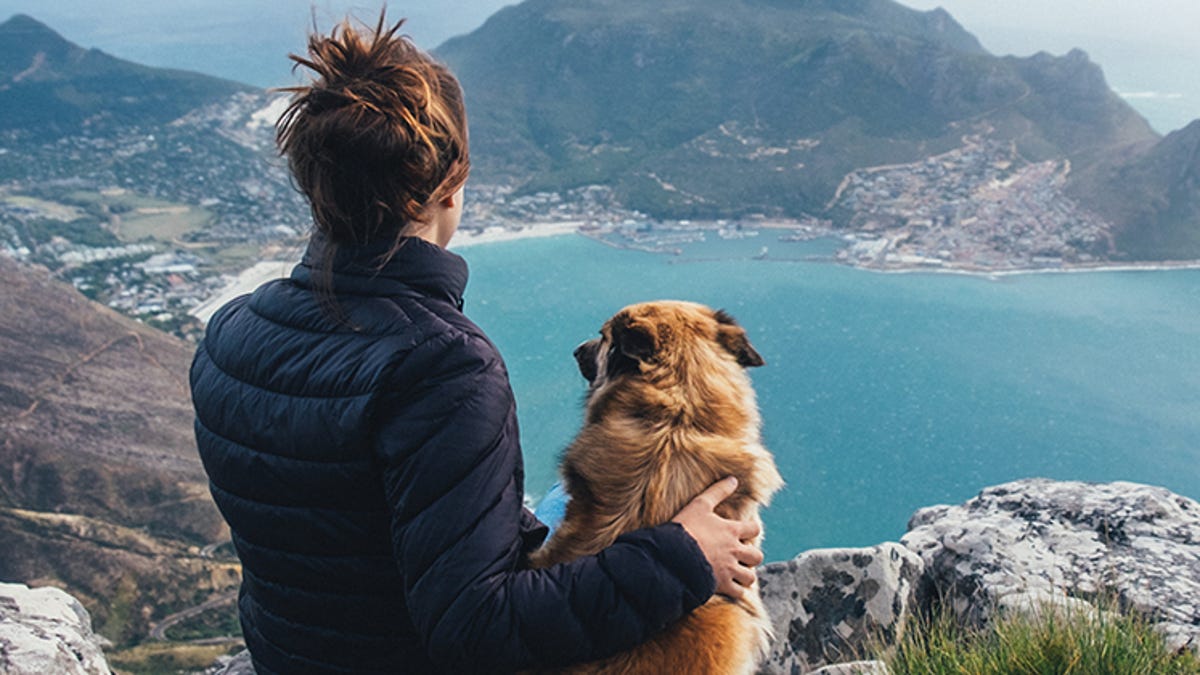 Amazon Launches Dog Food Brand Because It Hasn't Disrupted ...