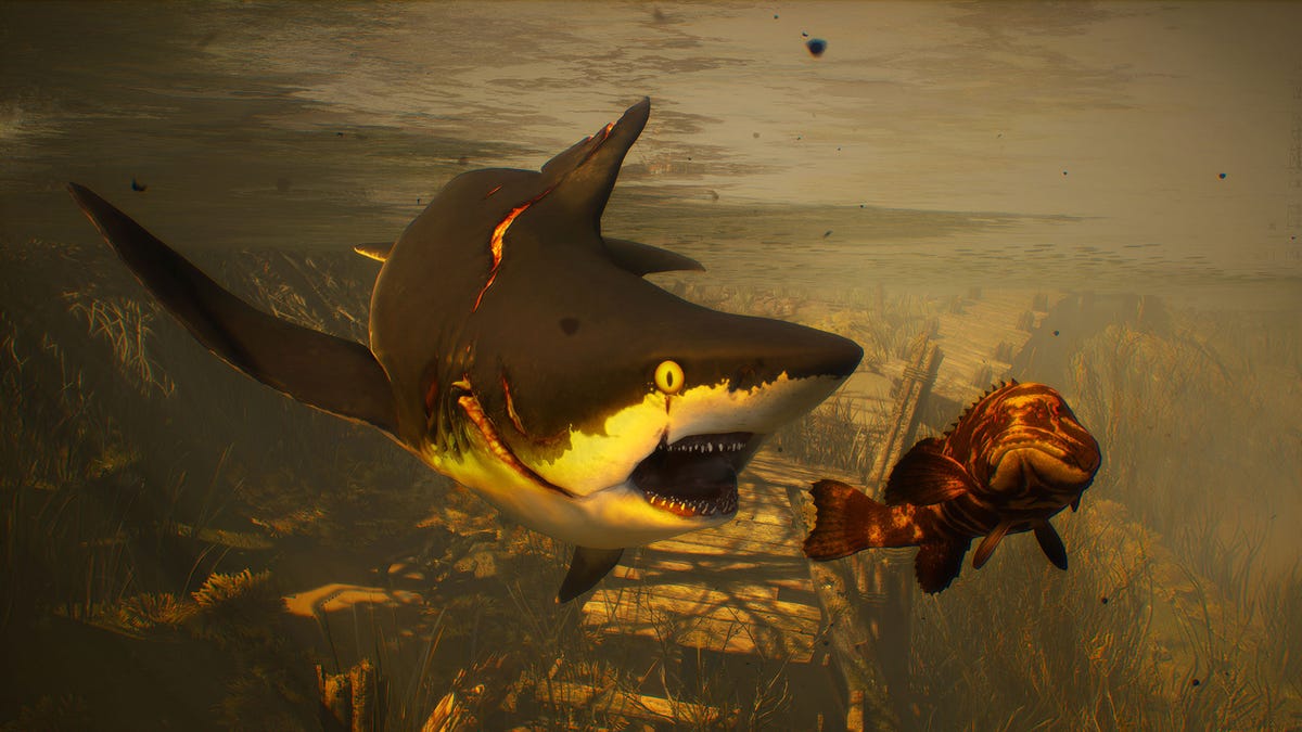 Best Video Games Starring Sharks