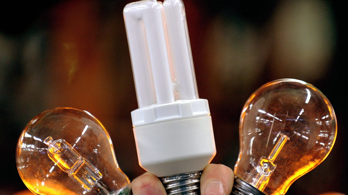 Trump Wages War Against the True Enemy of the State: LED Lightbulbs