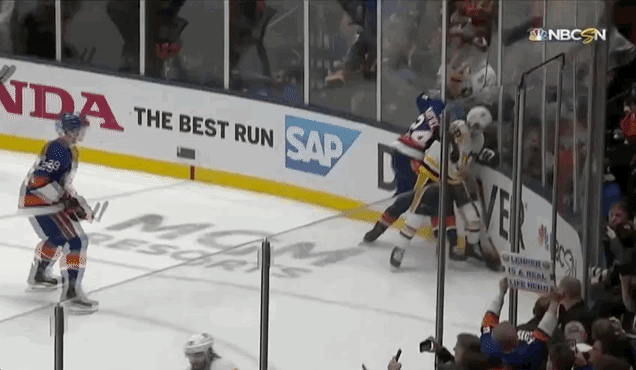 The Penguins Appear To Be A Little Upset