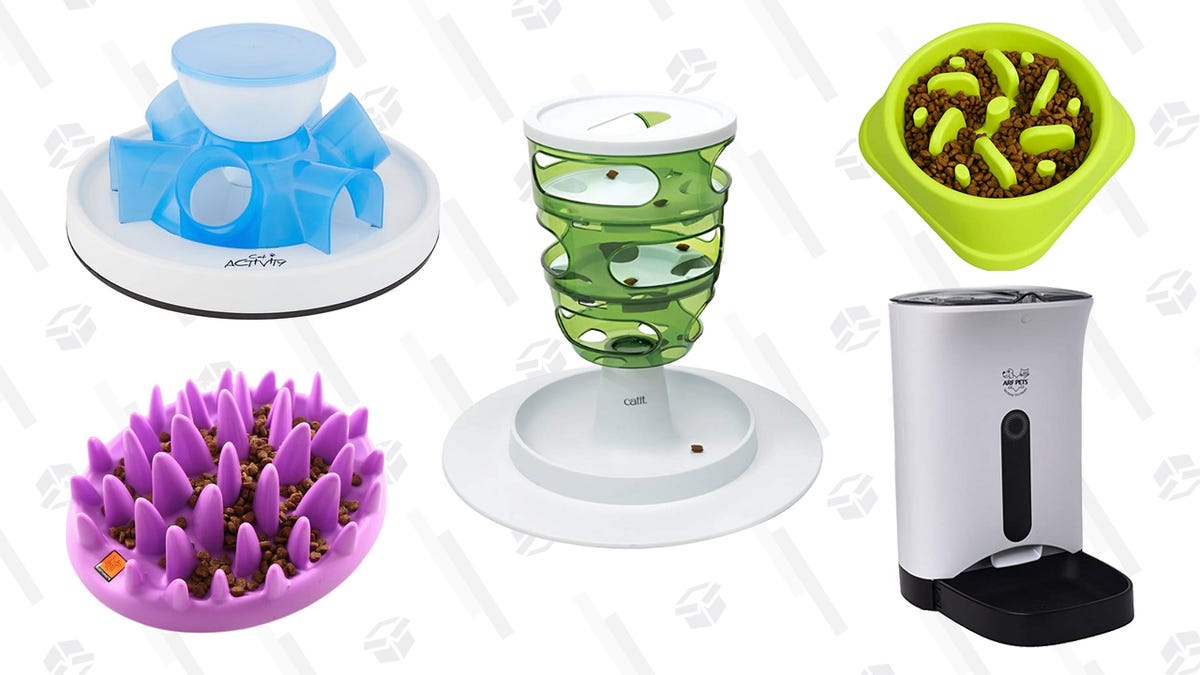 Five Slow Cat Feeders To Try If Your Furry Friend Keeps Throwing Up