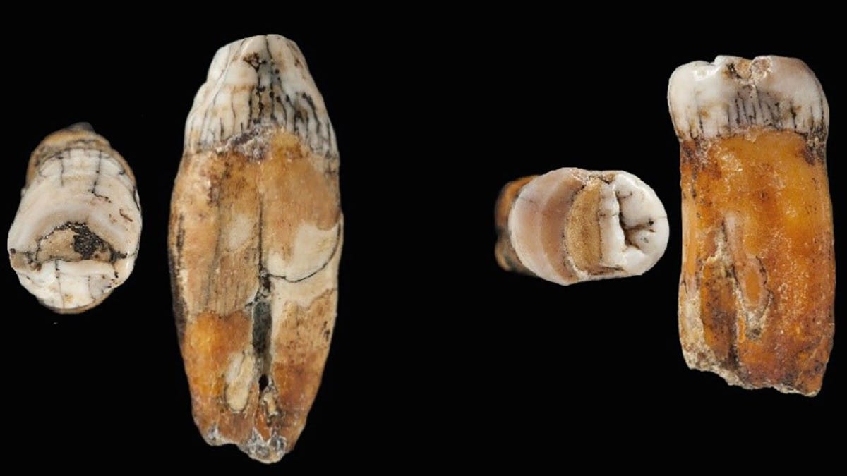 Archaeological Discoveries That You Need to Check Out