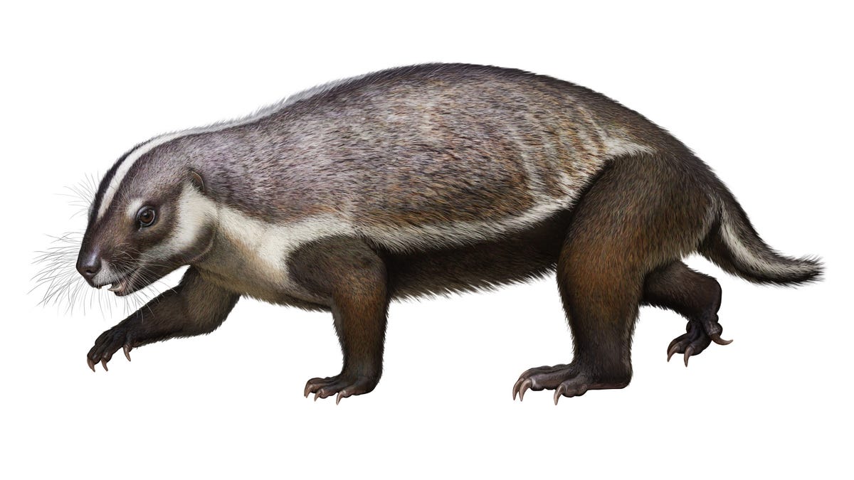 'Crazy Beast' Fossil Discovered in Madagascar Reveals Bizarre Mammal From the Cretaceous