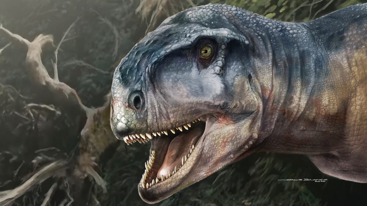 Argentinoje rastas dinozauras atrodo kaip „T-Rex“