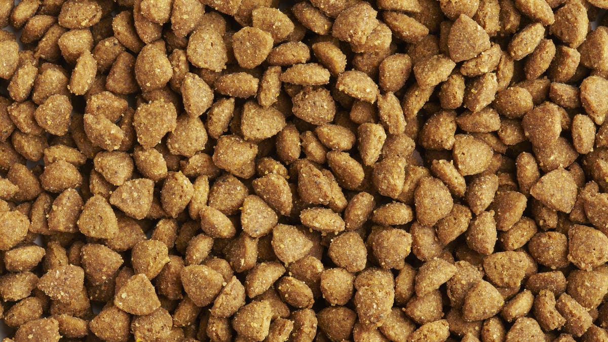 Watch Out, This Toxic Kibble Has Killed Over 70 Dogs