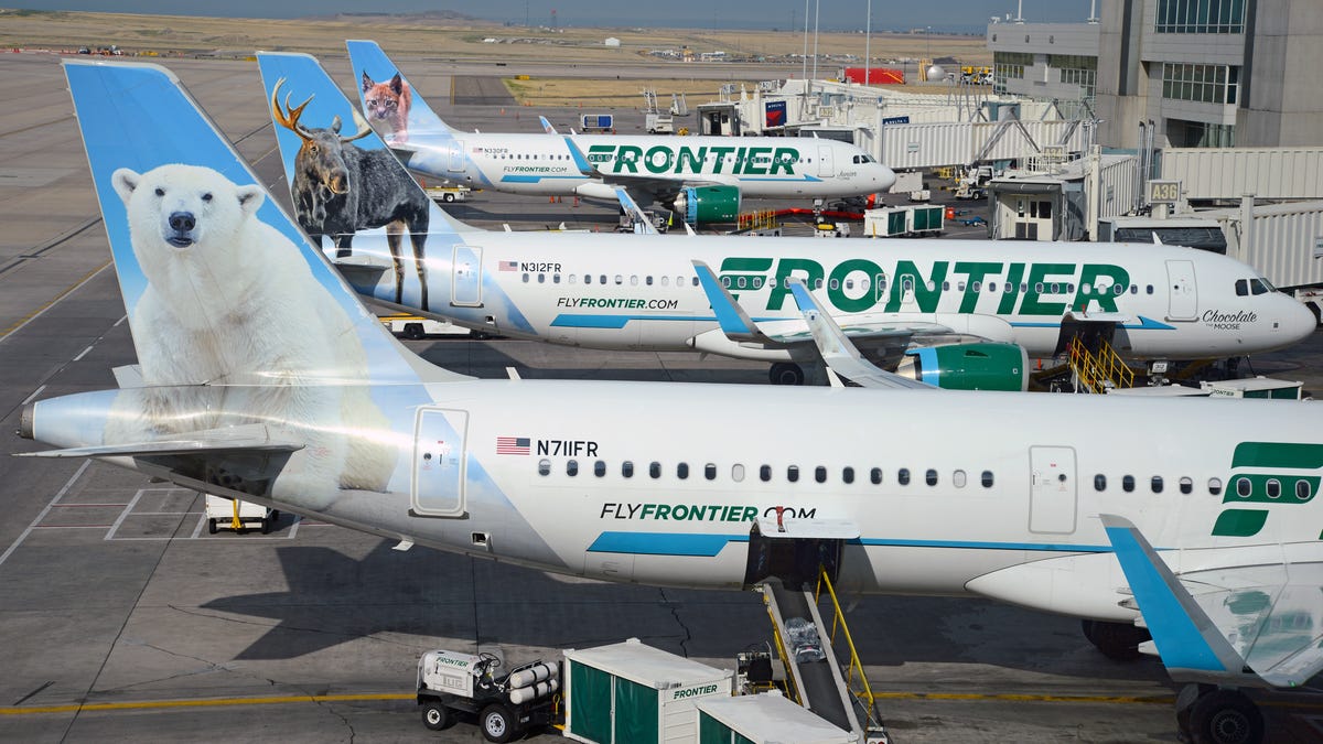 Buy a One-Way Holiday Flight on Frontier For as Low as $19 Today - Lifehacker