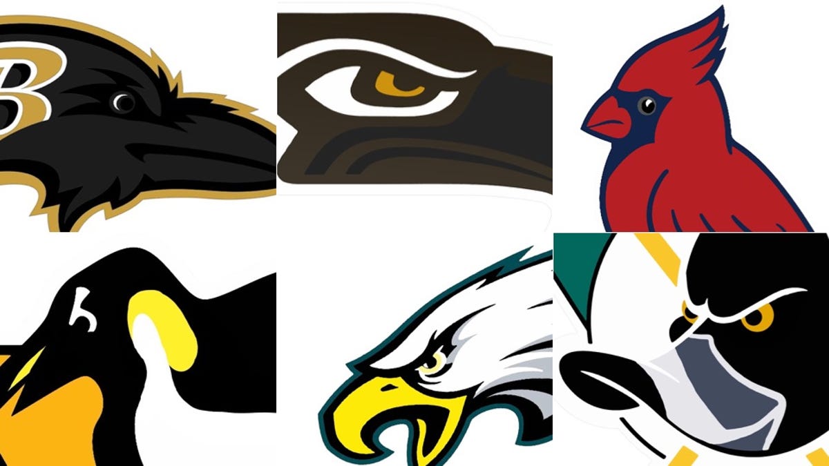 Let's Fix All The Bird Logos In Pro Sports