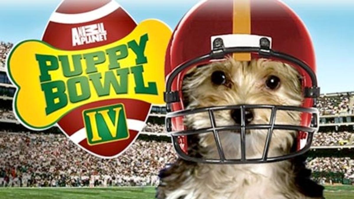 Puppy Bowl Highlights