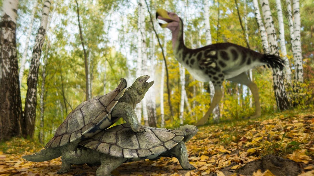 sea turtle dinosaur