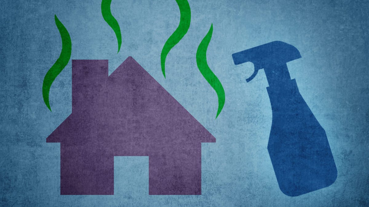 Top 10 Ways To Banish Bad Smells From Your Home And Your Body