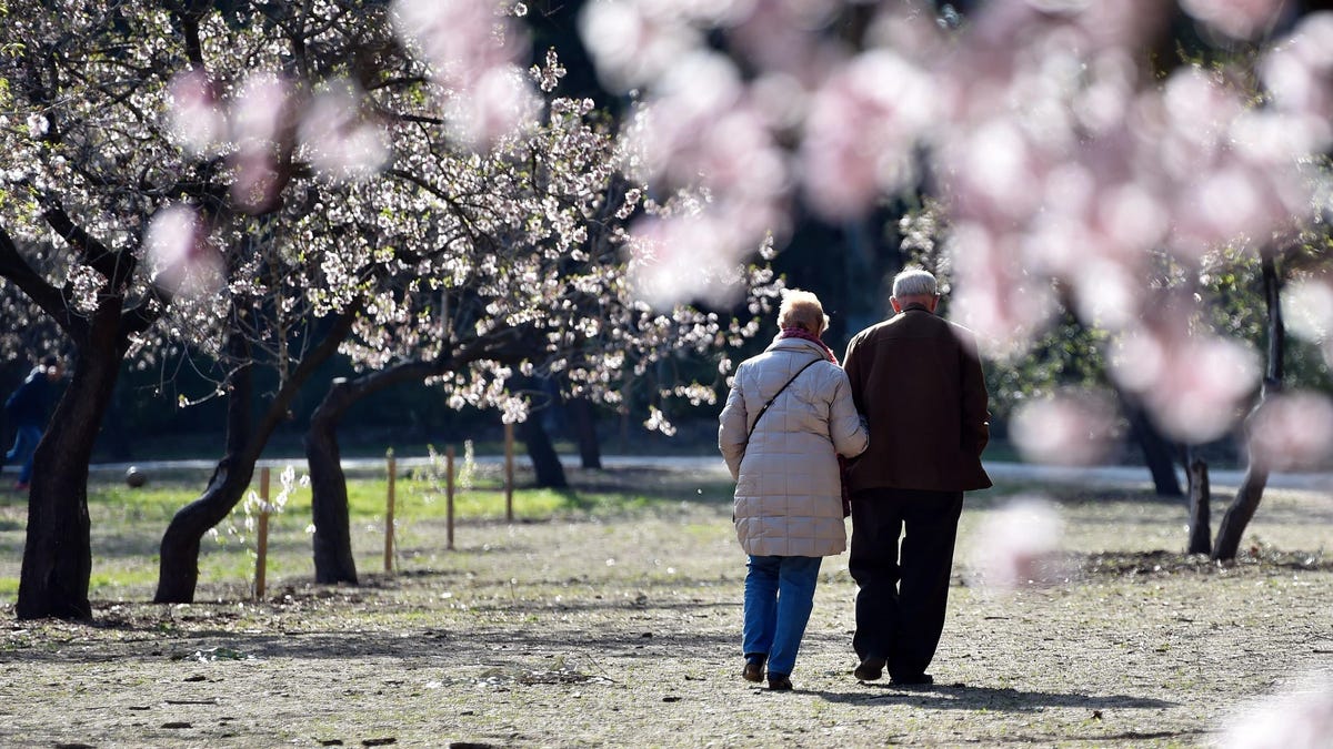 Baby Boomers Are Experiencing Greater Cognitive Decline Than Previous Generations, Study Finds