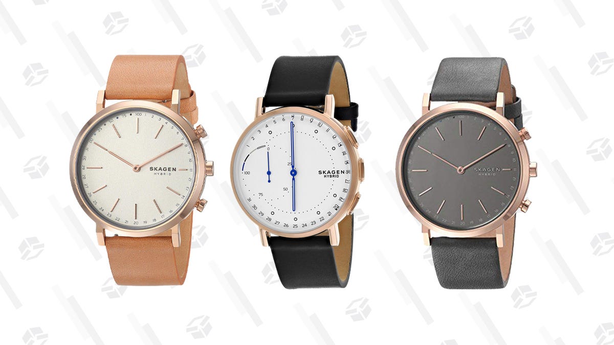 skagen womens hybrid watch