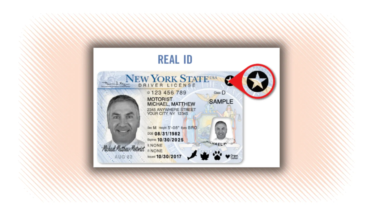 How do i replace my lost drivers license